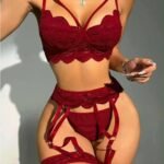 Transparent Lace Bra Set Women Sheer Temptation Exotic Sexy Lingerie Set Ladies